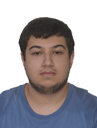 Arthur de Araujo Faria